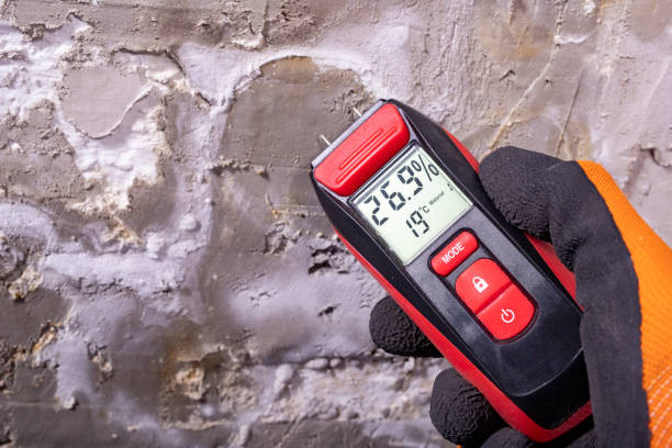 Best Fast Mold Removal  in Smithton, IL